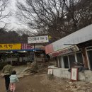 나무이야기 | 강화도 전등사 삼재 기도 다녀온 후기 주차장 팁과 보호수 300년 나무 이야기