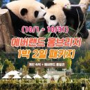 [용인] 10월 에버랜드 용인 홈브리지 캐빈호스텔 1박+종일권 이미지