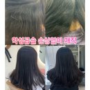 로다살롱 - 군산시 신설1길 5-5 | 김포 미용실 추천 로다살롱 악성곱슬 볼륨매직 1인샵 후기