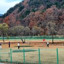 신도안면 파크골프장 이미지