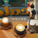 라임고양이 | 남포동 조용한 카페 라임스케일 고양이있는카페