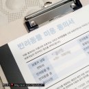 인생개컷 | 화정 애견미용 || 화정 인생개컷에서 몸 전체 기계컷 + 얼굴컷으로 깔끔해진 토리🤎