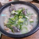 박순자농장 | 출장가다 들린 병천순대국 후기