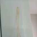 배곧유호N-CITY1차(배곧유호엔시티1차) 이미지