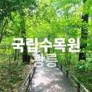 서울 근교 숲여행 추천 광릉 국립수목원 예약 방법과 주차 후기