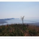 웅천삼거리 이미지