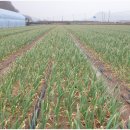 수하농장 이미지