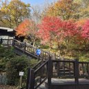 신선동-14 이미지