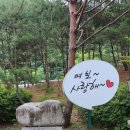 붕어섬축구장 이미지