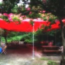 어린왕자민박 이미지