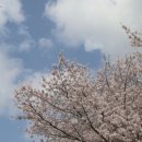 금강산 축산 이미지