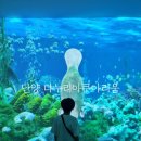 부강스토리 | 단양 실내 아이와 가볼만한곳 다누리아쿠아리움 확장 개관하여 볼거리 더 풍성해요