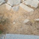 거북세차장 이미지