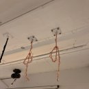 바로 무브먼트 | [성신여대] 더센트럴무브먼트 | 플라잉 로우, 플라잉 요가까지 알차게 겨울철 실내 운동