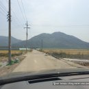 상남농협 | 초당옥수수 제철 직거래 구매팁 내돈내산 후기! 상남농협농산물집하장 밀양 초당옥수수