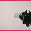 리더스히어링보청기인천점 이미지