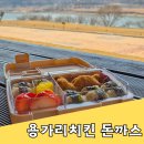 추억의도시락 | 하림 용가리 가족체험단 추억의간식 용가리치킨 소풍도시락 후기