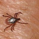 마이펫동물약국 이미지