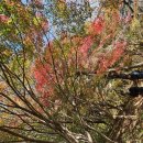 부산12월6일/토요일/부산방2025년 송년회&amp;도보 이미지