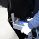 만성자동차공업사 이미지