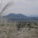 서부산업도로 이미지