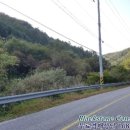 오리개윗골천 이미지