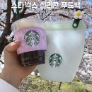 스타벅스 실리콘 푸드백 이벤트 음료 정보 가격 내구성 실후기