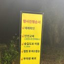 772영농 | 여름 제주에서만 만날 수 있는 특별한 밤, 곶자왈 반딧불이축제 (솔직후기)