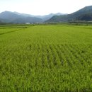 진웅농장 이미지