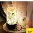로즈케이