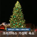 한농마을 | 스트라스부르 여행 대성당 크리스마스 숙소 위치 추천 내돈내산 후기