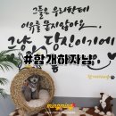 함개하자냥 이미지