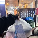 짱구야식 | [김포] 통진 닭발 맛집 짱구닭발 통진본점, 짱구세트로 국물닭발 야무지게 포장 후기🔥