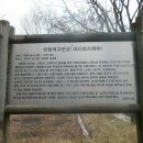 성동리 고분군 이미지