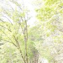 나막골약수터 이미지