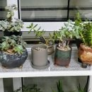 백모농장 이미지