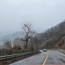 DMZ 평화의 길 11코스 이미지