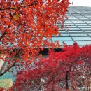 중앙로R 이미지