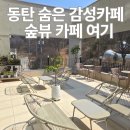 그늘막83 | 화성 동탄 신리천 카페 분위기 좋은 카페동리 내돈내산