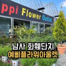 예삐애견 | 남사화훼단지 예삐플라워아울렛 식물카페 꽃꽃한당신 후기