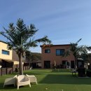 나인독스 이미지