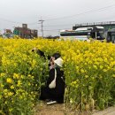 서쪽사계 이미지