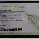 수원팔색길 여우길 이미지