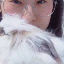 프로덕트스튜디오 이미지