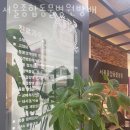 서울종합동물병원방배 네이버블로그