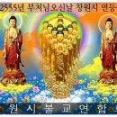 불기2555년 부처님오신날 창원시 연등축제 이미지