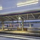 유성스포츠프라자 | 2026년 상반기 변리사 실무수습 집합교육과정4️⃣ | 62기 변리사 연수일지 4주차(260202-260207)⛱️