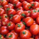 부산광역시 강서구청 이미지