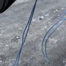 신기어꿈 이미지