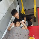 한국체대 새솔 유도 체육관 이미지